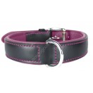 Ace Comfy LEATHER DOG COLLAR Padded And lined with soft Lamb's Leather (Purple Lining).